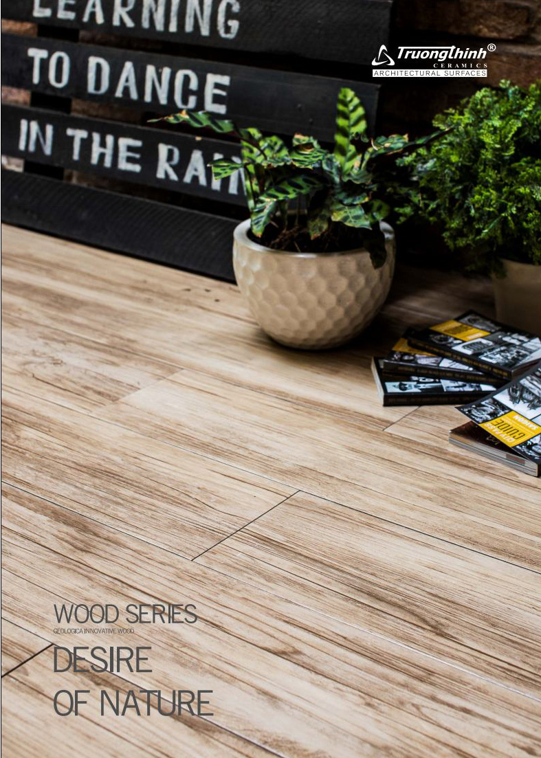 BROCHURE WOOD TILE TRUONG THINH 2017
